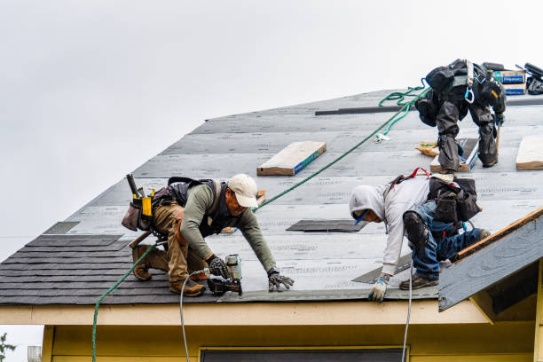 Professional Storm Damage Roof Repair technician working in Allenspark, CO